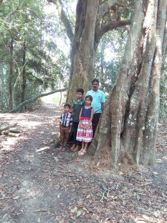 Wayanad Homestay 玛纳多迪 外观 照片